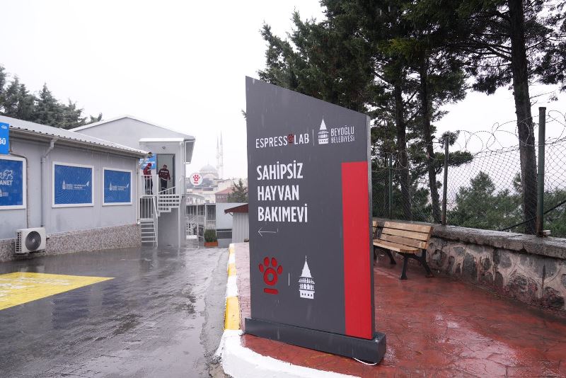 Espressolab Sahipsiz Hayvan Bakımevi’ Beyoğlu’Nda Hizmete Açildi Espressolab Sahipsiz Hayvan Bakımevi’ Beyoğlu’Nda Hizmete Açildi